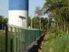 Gomes da Costa - Carbone