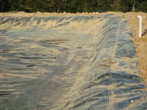 Cobertura de Lagoa